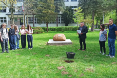 Dab-ZSEiO-2