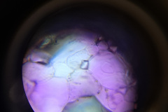 20241204_090805